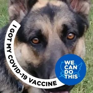 Meet your Posher, Rick